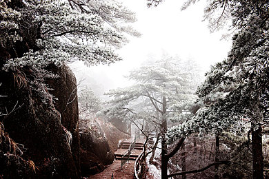 男生和女生互干的软件:《极速交锋:双人驱动》今日上线,性别协作成竞速游戏新爆点-2