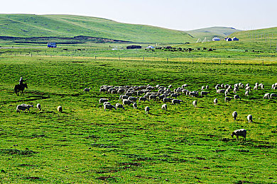 美国五月天：摇滚传奇驶入墨西哥，极限竞速地平线5推出复古摇滚更新-3