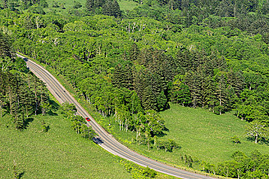 国产AV网：中国模拟赛车新作上线，硬核物理与国产车型引爆玩家竞速热潮
