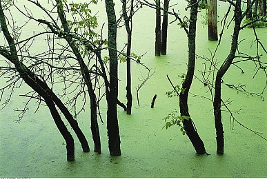 男生女生一起查查查：竞速与解谜交织，双人协作新游《极速探案线》今日深度评测-2