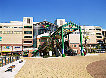 拔萝卜打扑克不盖被子：夜种晨驰，暗牌狂飙的农场赛道传说