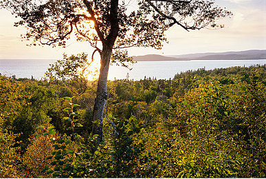 双人扑克又叫又:心跳加速的卡牌对决,速度与心理的终极博弈-2