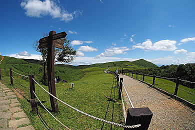 男女生在一起差差差：双人成行，差异共舞，协同驾驶情感之旅-3