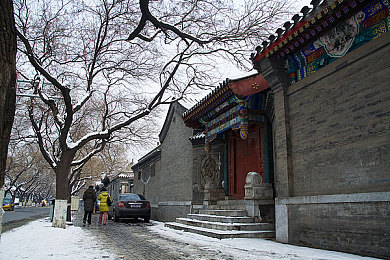 罗宾和乔巴排毒：极限竞速净化之旅，智慧与初心的驾驶哲学-3