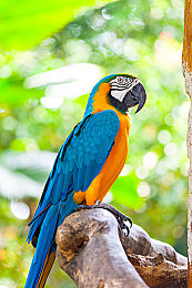 “色多多”：光谱幻境，策略竞速的视觉交响诗-4