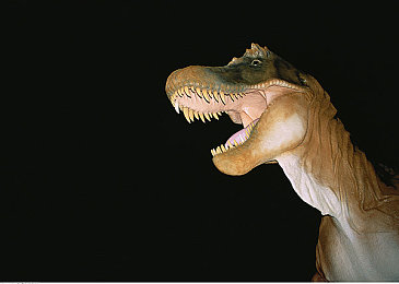 把筷子放屁怎么回事视频教程：当荒诞排气改装遇上真实物理引擎，这款赛车游戏让恶搞变科学-3