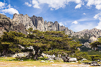 软件黄色3.0：代码狂飙，在虚拟赛道中重写速度的极限-3