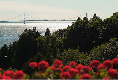 51朝阳群众-每日主题大赛：暗夜追踪者，都市谜案中的隐形车影侦探