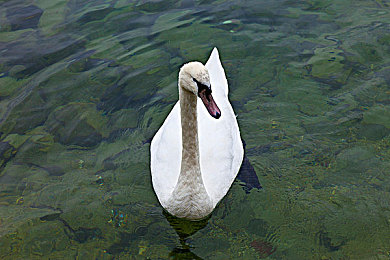 人人射人人：极速飞驰，火力交织，街头战术竞速盛宴