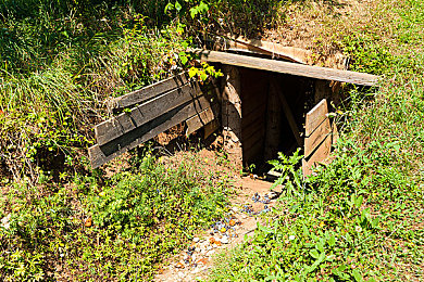 男同志与宠物ZOZO：霓虹公路上的钢铁羁绊，人与机械的信任之旅-3