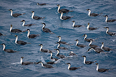 福利视频app导航：地平线5摄影全攻略，掌握墨西哥绝景拍摄时机与高级构图技巧-2