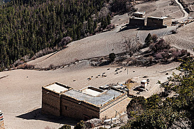 中国少妇XXⅩXXXXXX：都市竞速新作今日上线，双面人生引爆速度与自由-1