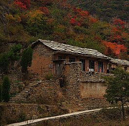 沈阳45岁阿姨最后巅峰：虚拟墨西哥，方向盘上的第二人生-2