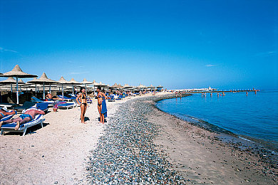 十大污软件排行榜：废土狂徒的非法代码，末日世界的极限改装博弈