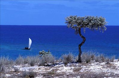 ai明星造梦忘忧草：心灵引擎，霓虹共舞，未来车手的温情疗愈之旅-2