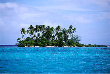 操女生软件：《赛道女神》今日正式上线，深度解析拟真竞速与女性车手成长之路