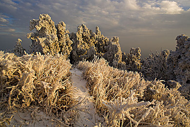在床上打牌：深夜策略对决，用卡牌改装你的竞速王牌