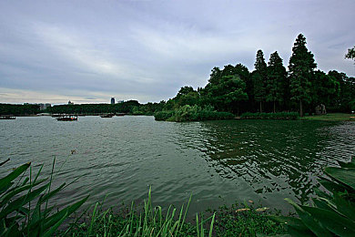 夫妻69乐园：双人协同极速，默契驱动竞速新境界-4