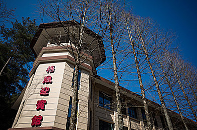 强行打扑克又痛又叫软件：赛道王牌掀起硬核卡牌对决，策略狂飙痛并快乐着