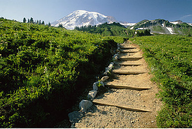 中国少妇XXXXXX：虚拟墨西哥风驰电掣，女性玩家的速度与情感之旅