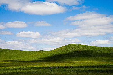 一捏胸一边亲一边摸下面：当指尖与引擎共鸣，与虚拟灵魂共舞的极速羁绊