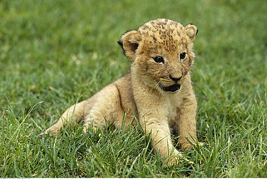 中国人AV片：极速华章驰骋华夏，虚幻引擎驱动国产汽车文化新体验-2