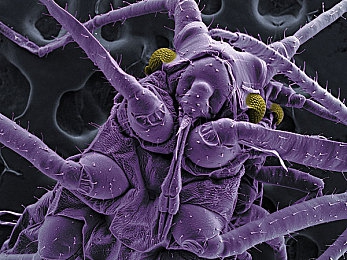 国产男女AV：东方极速，驾驭未来赛道的美学征程