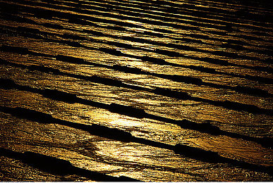 麻豆91天美传媒：虚拟偶像赛车手，双重身份养成计划开启赛季挑战-2