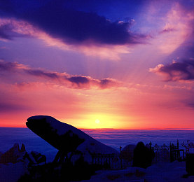 60岁近相祖母的近亲们：血脉引擎，怀旧赛道上的家族竞速物语