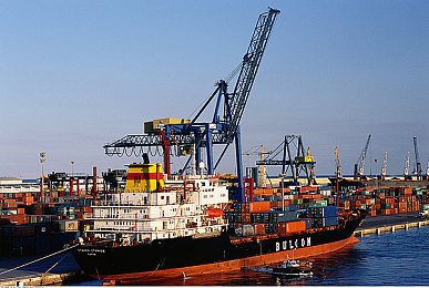 opop黄色软件下载：霓虹车库密令，虚拟赛道上的竞速艺术