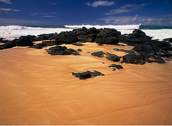 暗网猎奇吃瓜：霓虹深渊中的数据竞速，幽灵骑士的双面人生-2