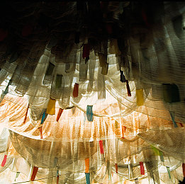 黄色APP下载3.0.3免费装妆2023：《极限改装王》全新版本上线，免费涂装系统开启汽车定制新时代-1