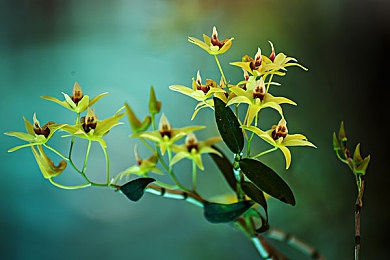 黄软件网站下载3.0.3免费大全装扮2023下载：2023年度改装神作上线，打造专属梦想座驾的终极指南-3