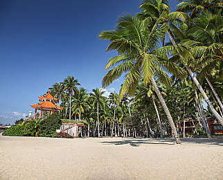 中国体育男同性恋：极速竞技场荣耀之征上线，勇气支线展现赛场内外真实挑战