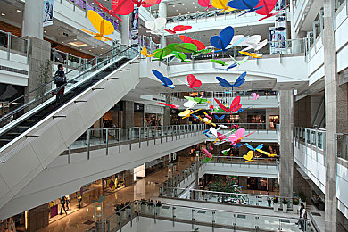 3p老婆：极速羁绊，与你的个性化虚拟座驾共赴情感旅程