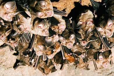 男生的困困到女生困困：极速地平线曙光，全民竞速时代的驾驶乐趣-1