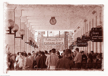 黄色应用vivo：霓虹飞驰，指尖点燃未来都市竞速盛宴