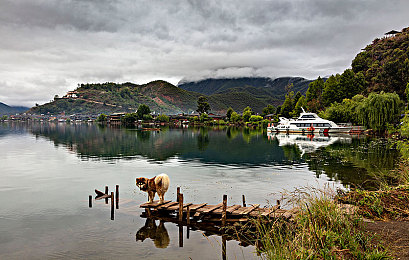 蜜桃av:极速幻境,霓虹赛道上的色彩动力学-3