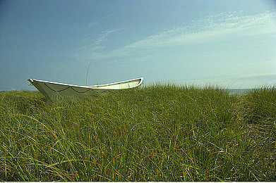 小黄鸭黄色软件：像素世界改装竞速，个性座驾由你打造-2