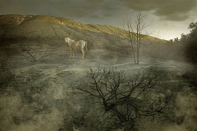 夜间禁用的100款软件：硬核驾驶模拟新作颠覆传统，科技失效挑战引发玩家热议-2