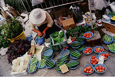 又痛又叫软件：驾驭墨西哥狂野，在挫败与狂喜中成为赛道大师-2