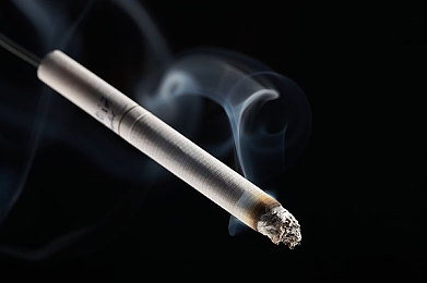 机机对机手机免费下载版2023：未来机甲竞速，自定义改装与极速狂飙的移动盛宴-2