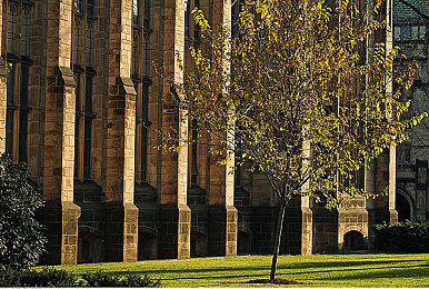 色多视屏：极限竞速地平线5全新视觉体验，动态天气与光追打造沉浸竞速艺术-2