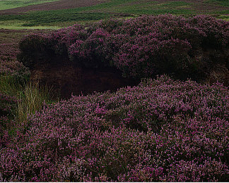 国产AV成人片：中国速度觉醒，硬核驾驶模拟开启竞速新纪元-3