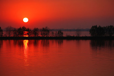 和猪做爱:乡村生活模拟器隐藏玩法揭秘,与动物建立深厚羁绊解锁稀有奖励-3