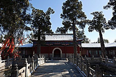 亚洲吃瓜黑料：霓虹暗影中的极速谍战，都市迷途的情报竞逐-2