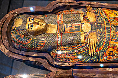 大人玩的拨萝卜：硬核农场模拟新作上线，真实机械操控与策略经营完美融合