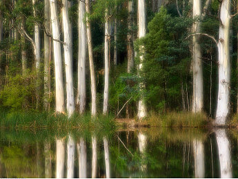 麻豆国产情景：国产驾驶新作今日上线，真实体验中国道路上的百态故事-2