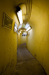 男男大学生同性恋：虹光双驱，竞速与共途的青春协奏-3