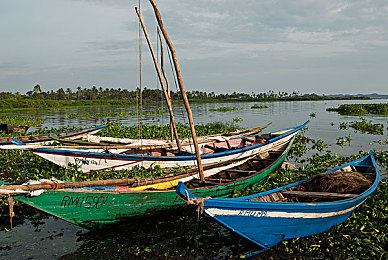 OPPO黄色软件免费下载：极限竞速地平线5全新攻略，带你驶入墨西哥竞速黄金时代-2